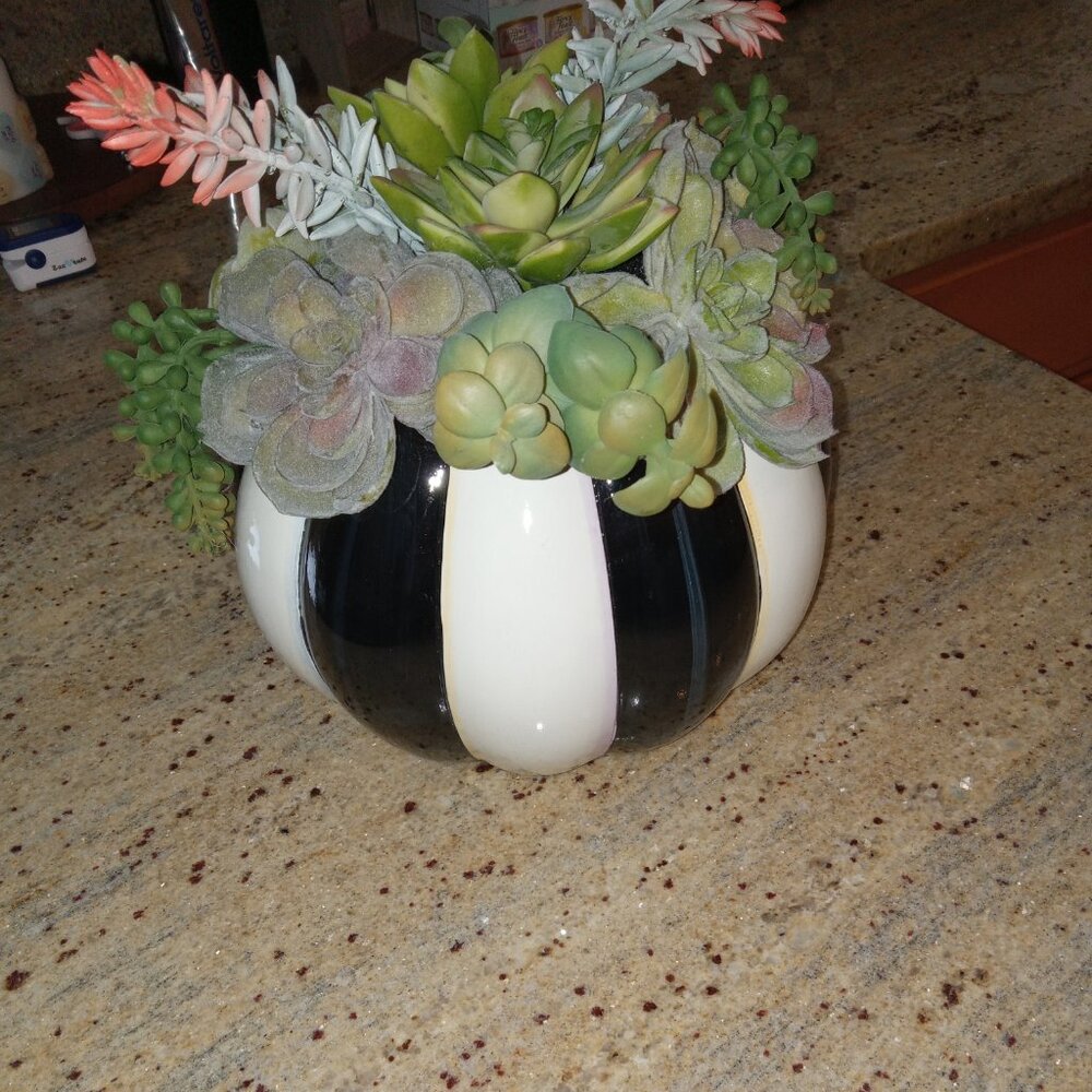 Mackenzie Childs Potted Succulent Plants
